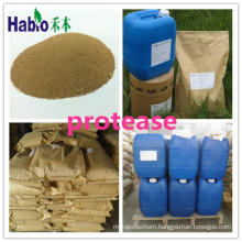 New Protease in Feed, Textile, Detergent